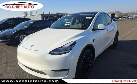TESLA MODEL Y 2023 7SAYGDEE8PA029056 image